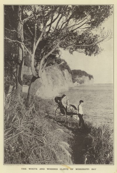 Die weißen und bewaldeten Klippen der Mississippi-Bucht von Japanese Photographer