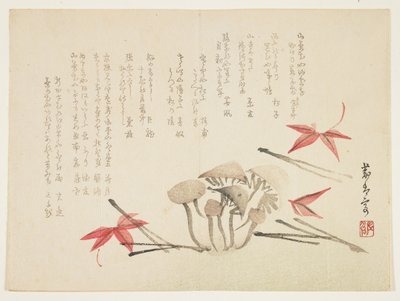 Pilze, Ahornblätter und Kiefernnadeln von Japanese School