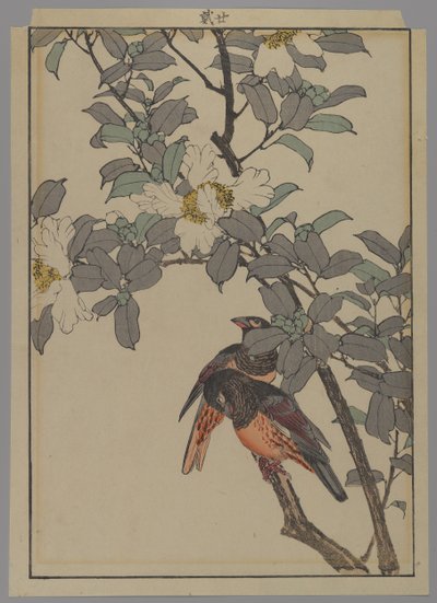 Zwei Vögel mit weißen Blumen, Meiji-Periode, 1892 von Japanese School