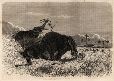 Die Elefantenjagd durch die Dahomey-Amazonen von Jean Antoine Valentin Foulquier