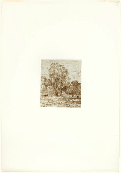 Die Kuhweide von Jean Baptiste Camille Corot