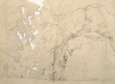 Junger Mann vor einer großen Eiche, um 1840 von Jean Baptiste Camille Corot