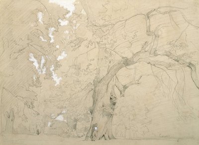Junger Mann vor einer großen Eiche von Jean Baptiste Camille Corot