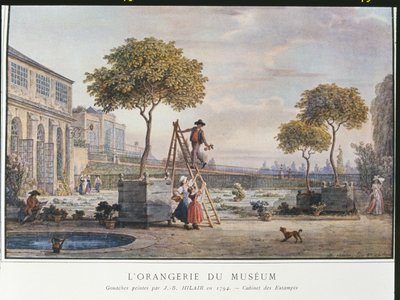 Die Orangerie im Museum in Paris, 1794 von Jean Baptiste Hilair