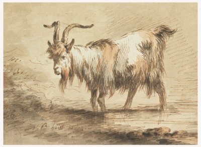 Zeichnung, Studie einer Ziege von Jean Baptiste Huet