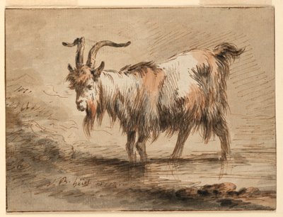 Zeichnung, Studie einer Ziege von Jean Baptiste Huet
