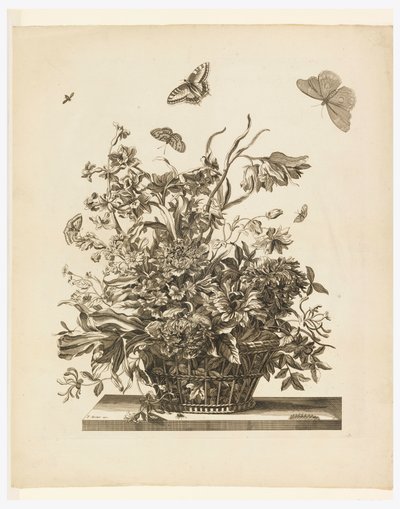 Tafel 10, aus dem Set Blumen in einem Korb von Jean Baptiste Monnoyer