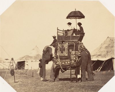 [Lady Canning], 1858-61 von Jean Baptiste Oscar Mallitte