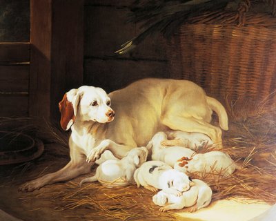 Hündin säugt Welpen, Detail aus Lise et ses petits, von Jean-Baptiste Oudry (1686-1755), Frankreich von Jean Baptiste Oudry