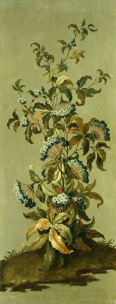 Dekorative Paneele mit Blumen von Jean Baptiste Pillement