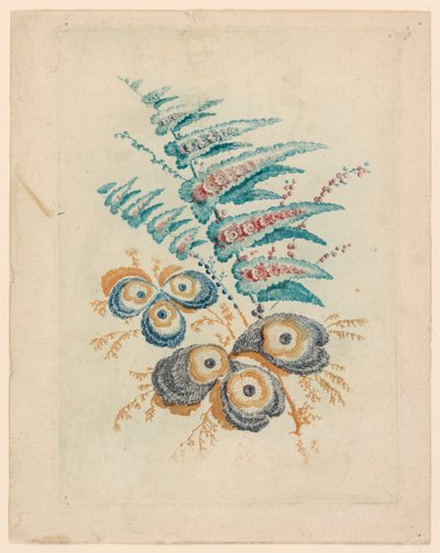 Fantastisches Blumenmotiv aus Nouvelle Suitte de Cahiers de Fleurs Idéales von Jean Baptiste Pillement