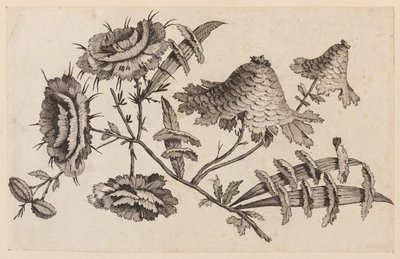 Blumenzweig, aus "Recueil de Fleurs Chinois" von Jean Baptiste Pillement