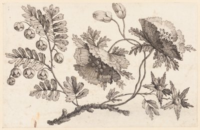 Blumenzweig, aus "Recueil de Fleurs Chinois" von Jean Baptiste Pillement