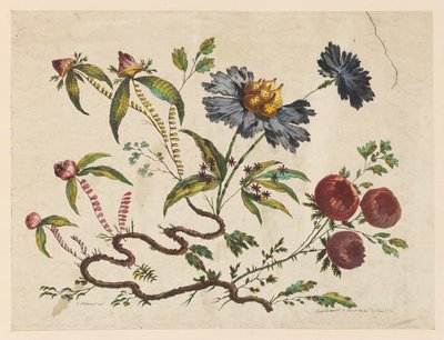Blumenzweige, aus "Recueil de Differentes Fleurs de Fantaisie Dans le Goût Chinois" von Jean Baptiste Pillement