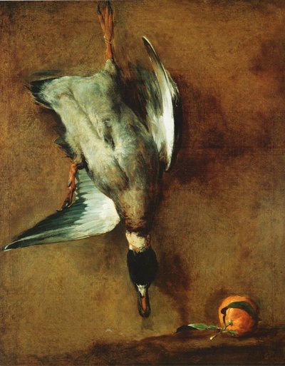 Eine an der Wand befestigte Stockente und eine Bitterorange von Jean-Baptiste Simeon Chardin