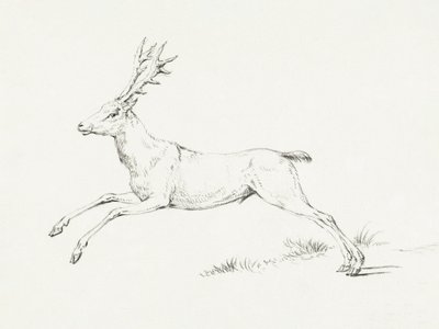 Springender Hirsch von Jean Bernard