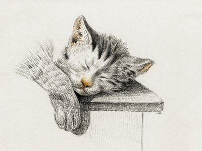 Skizze einer schlafenden Katze von Jean Bernard