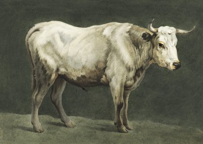 Stehender Stier von Jean Bernard