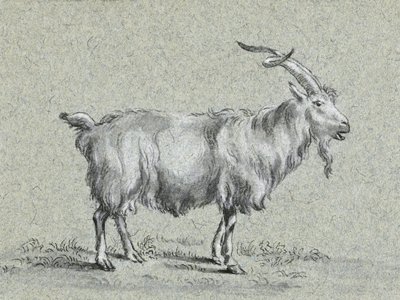 Stehende Ziege von Jean Bernard von Jean Bernard