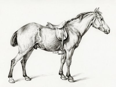 Stehendes Pferd von Jean Bernard (1775–1883) von Jean Bernard