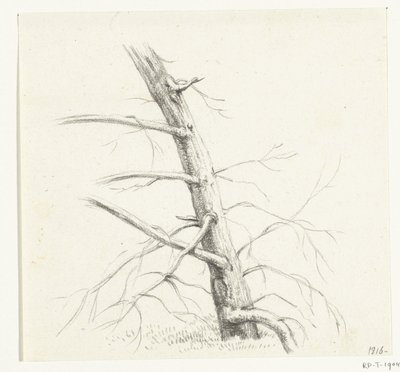 Studie eines Baumes von Jean Bernard