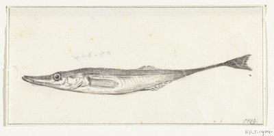 Fisch von Jean Bernard