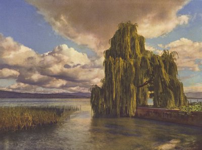 Schweiz: Am Zürichsee von Jean Gaberell