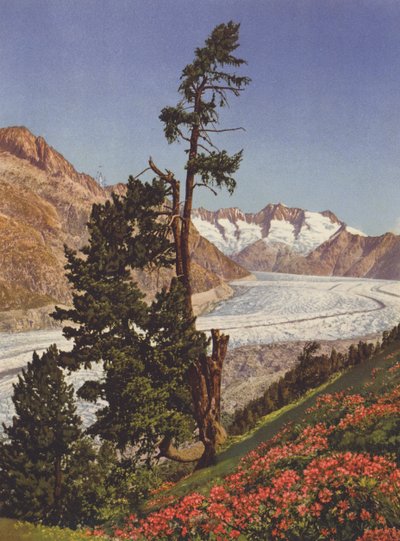 Schweiz: Blick auf den Aletschgletscher und die Fiescherhörner von Jean Gaberell