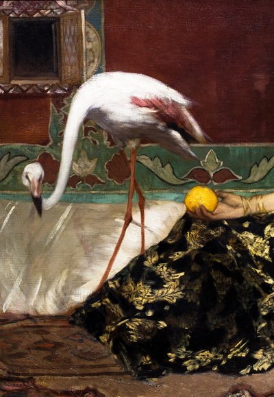 Der rosa Flamingo (Detail) von Jean Joseph Benjamin Constant