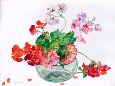 Geranien in einer Glasschale von Jean Swan Gordon