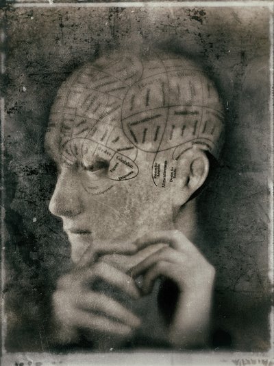Vintage Phrenologie Studie von Jeffrey Hummel
