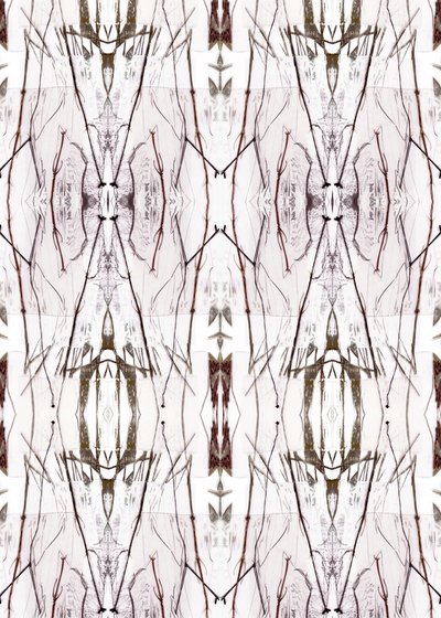Symmetrisches Naturmuster von Jenja Braun