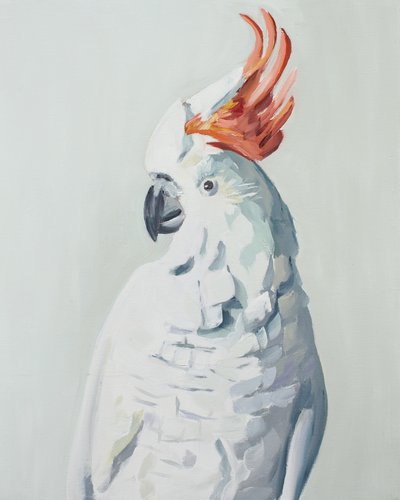 Weißer Kakadu von Jenny Westenhofer