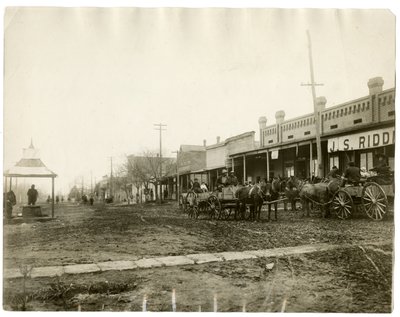 Arkansas 1903 von Jessie Tarbox Beals