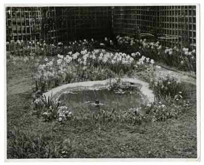 Garten von Mr & Mrs Wm H Wells, 265 W 11th St, New York, USA von Jessie Tarbox Beals