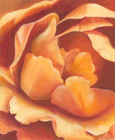 Weiche orangefarbene Blüte von Jillian Claire