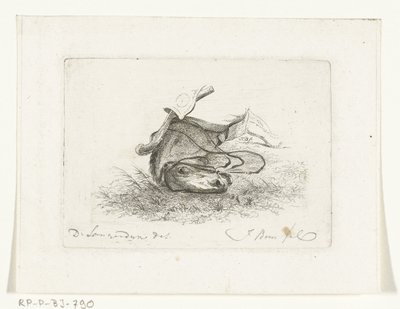 Pferdekopf eines liegenden Pferdes von Joannes Bemme