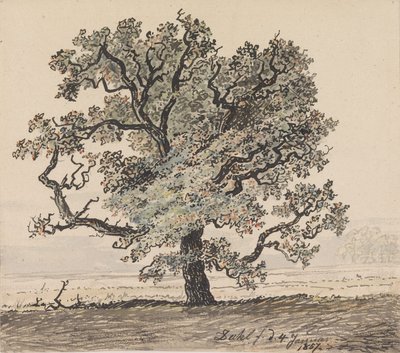 Furutre auf der Ebene von Johan Christian Dahl