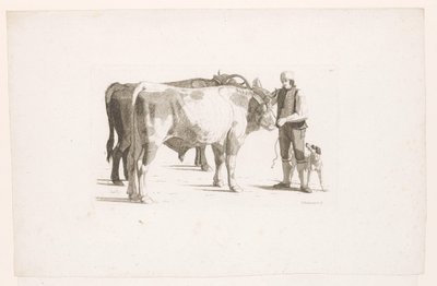 Mann und ein Hund neben zwei Ochsen mit einem Joch von Johan Jakob Biedermann