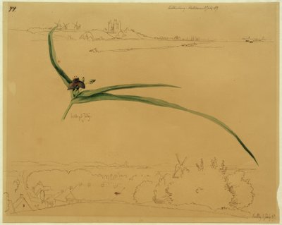 Ansicht von Kalundborg und Studie einer Dreimasterblume von Johan Thomas Lundbye