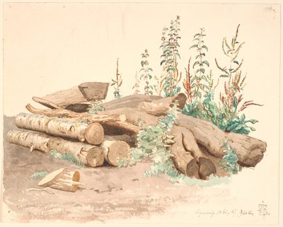 Einige gefällte Baumstämme, ein Wassertrug und verschiedene Pflanzen von Johan Thomas Lundbye