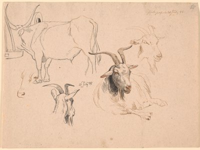 Studie eines Ochsen und zwei Studien von Ziegenköpfen sowie eine von einer liegenden Ziege von Johan Thomas Lundbye