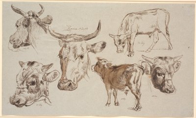 Studienblatt aus Vognserup. Studien von Kuhköpfen, Stierkälbern und deren Köpfen von Johan Thomas Lundbye