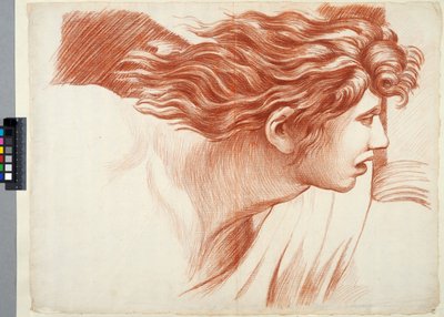 Akademiezeichnung. Detail aus Raphaels "Heliodorus aus dem Tempel vertrieben" im Vatikan, ein Kopf von Johan Tobias Sergel