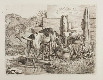 Hund trinkt Wasser von Johann Adam Klein