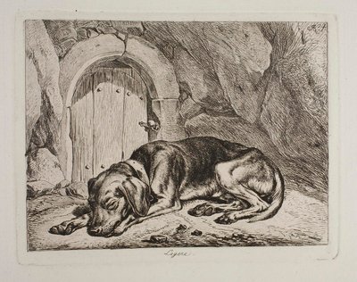 Der Hund Legere von Johann Adam Klein