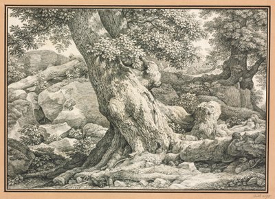 Baumstudie auf felsigem Terrain von Johann Christian Reinhart