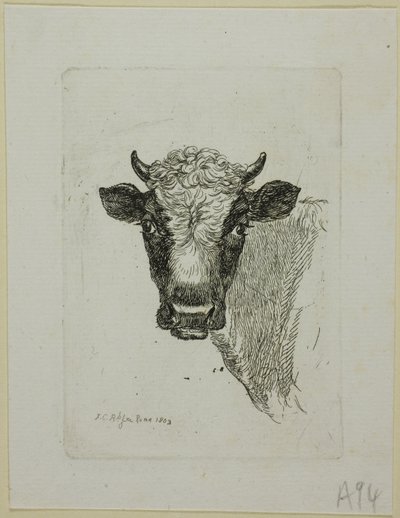 Kopf eines jungen Stiers, aus Die Zweite Thierfolge von Johann Christian Reinhart