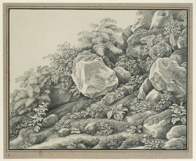 Vordergrundstudie: Felsen, Gebüsch, Farne und Blattpflanzen von Johann Christian Reinhart