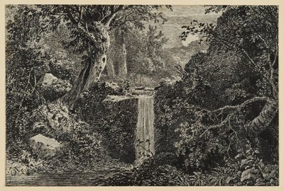 Wasserfall im Wald von Johann Christoph Erhard